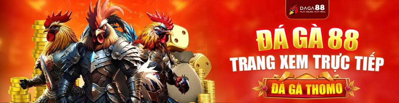 Đá gà trực tuyến sôi động tại lb555 win