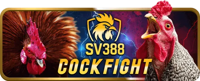 Hình ảnh người dùng kiểm soát dữ liệu cá nhân của họ tại lb555 win